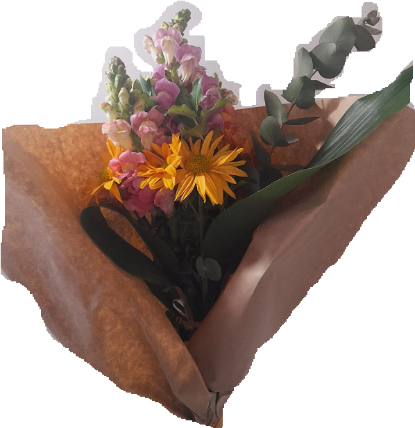 Ramo N° 2 Campanario